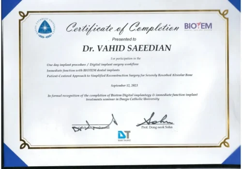 Scanitto_2024-12-19_007