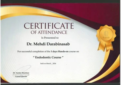 Scanitto_2024-12-19_012